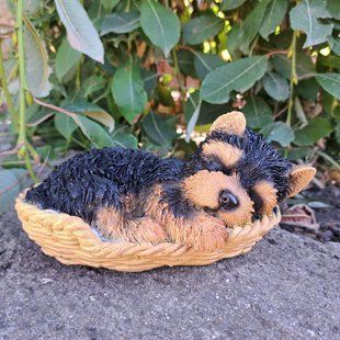 kaufen Gartenfigur Yorkie Welpe im Korb, farbig 1