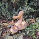 kaufen Gartenfigur Schlange, Klapperschlange, Klein, Braun 3