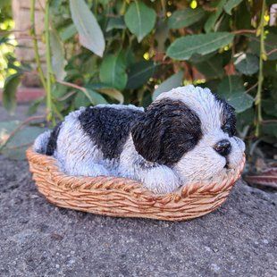 kaufen Gartenfigur Shih Tzu Welpe in einem Korb wei&szlig;-schwarz 1