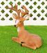 kaufen Gartenfigur Mittlerer liegender Hirsch 3
