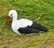 buy Garden figure No. 2 Small nesting stork 4