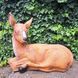 kaufen Gartenfigur Hirsch 1