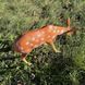 buy Garden figure Roe deer grazing 3