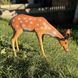 buy Garden figure Roe deer grazing 2