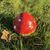 Garden figures Mushrooms