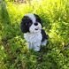 kaufen Gartenfigur Shitsu Hund sitzend Schwarz und wei&szlig; 2