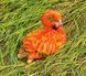 kaufen Mittelgro&szlig;e korallenfarbene Flamingo-Gartenfigur f&uuml;r Nistkasten 6