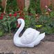 buy Garden Swan Statue, Head Right, White 7