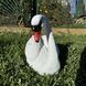 buy Garden Swan Statue, Head Right, White 4