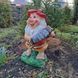 buy Garden figure Gnome Harmonist medium size 7