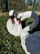 buy Garden Swan Statues &ndash; Set &ndash; Pair of White Swans 7
