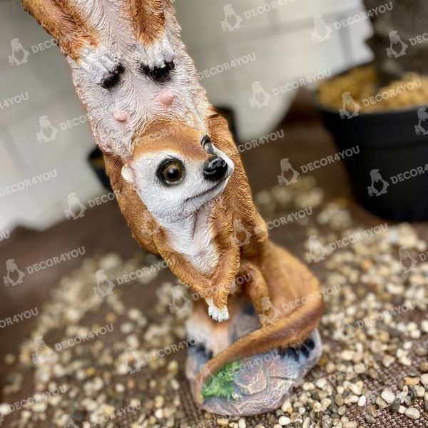 kaufen  12