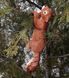 buy Garden figure Squirrel hanging right large 7