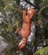 buy Garden figure Squirrel hanging right large 8