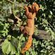 buy Garden figure Squirrel hanging right large 10