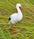 buy Garden figure Small stork #5 on metal legs 4