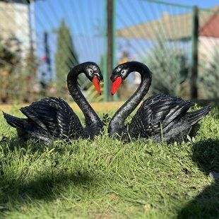kaufen Gartenfiguren Schw&auml;ne, Set &ndash; Paar schwarze Schw&auml;ne 1