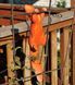 buy Hanging Squirrel Garden Figure 5