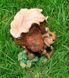 buy Garden figure Squirrel with cones 4
