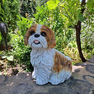 kaufen Gartenfigur Shih-tsu sitzend, wei&szlig;-braun 1