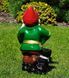 buy Garden figure Gnome musician 4