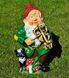 buy Garden figure Gnome musician 1