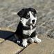 buy Garden figure Husky puppy, colored 6