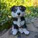 buy Garden figure Husky puppy, colored 1