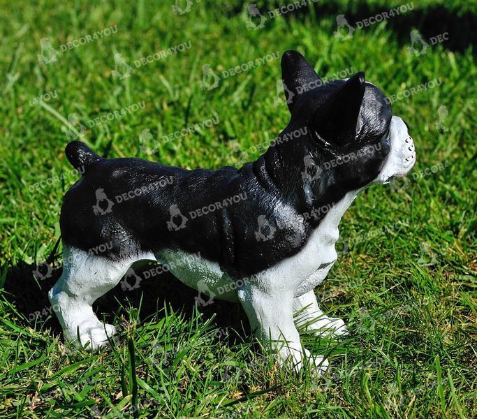 buy Standing French bulldog garden figure 6