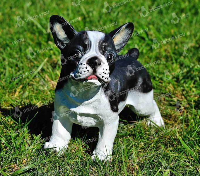 buy Standing French bulldog garden figure 4