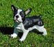 buy Standing French bulldog garden figure 3