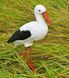 kaufen Gartenfigur Kleiner Storch #6 auf Metallbeinen 2