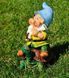 buy Garden figure Dwarf on a small turtle 2