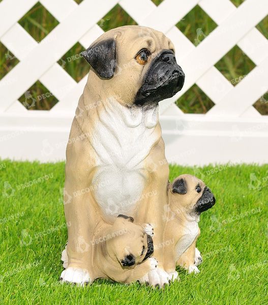 buy  4