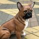 buy Bulldog garden figure 4