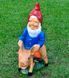 buy Garden figure Dwarf on a pig 1