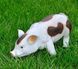 kaufen Gartenfigur Fleckiges Schweinchen 1