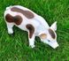 kaufen Gartenfigur Fleckiges Schweinchen 11