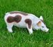 kaufen Gartenfigur Fleckiges Schweinchen 12
