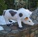 kaufen Gartenfigur Fleckiges Schweinchen 9