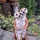 buy Garden figure Gophers three 10