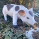 kaufen Gartenfigur Fleckiges Schweinchen 16