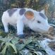 kaufen Gartenfigur Fleckiges Schweinchen 15