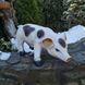 kaufen Gartenfigur Fleckiges Schweinchen 3