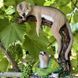 buy Garden figure Gopher on a branch 1