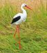 kaufen Gartenfigur Medium Storch #3 auf Metallbeinen 3