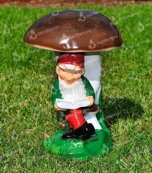buy Garden figure Gnome small reader 9