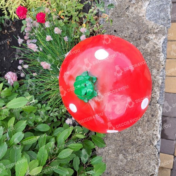 buy Garden figure Gnome small reader 5