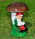 buy Garden figure Gnome small reader 7