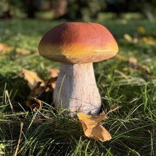 buy Garden figure Medium-sized Borovik 1